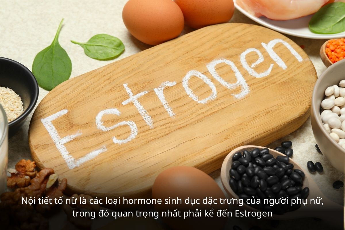 Công thức phân tử của Estrogen