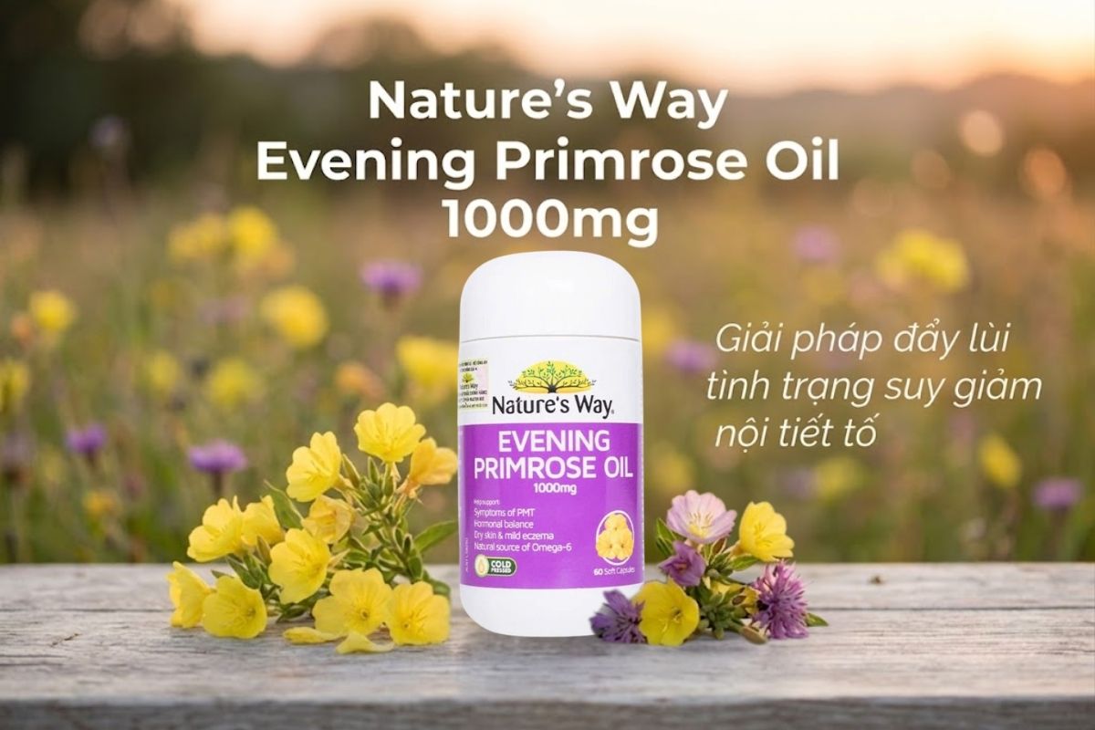 Nature's Way Evening Primrose Oil 1000mg