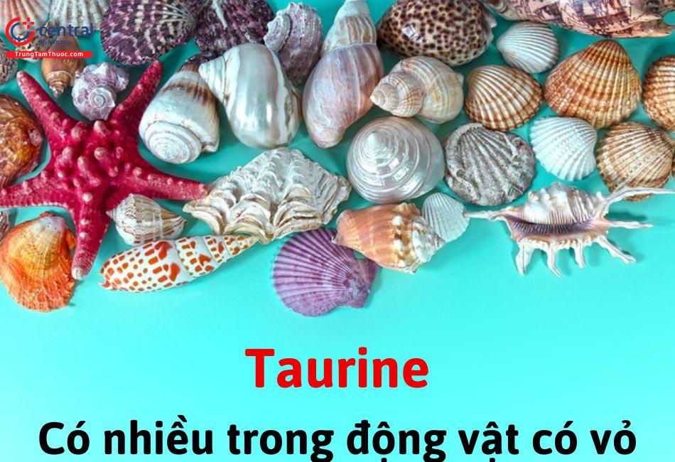 Taurine có nhiều trong động vật có vỏ