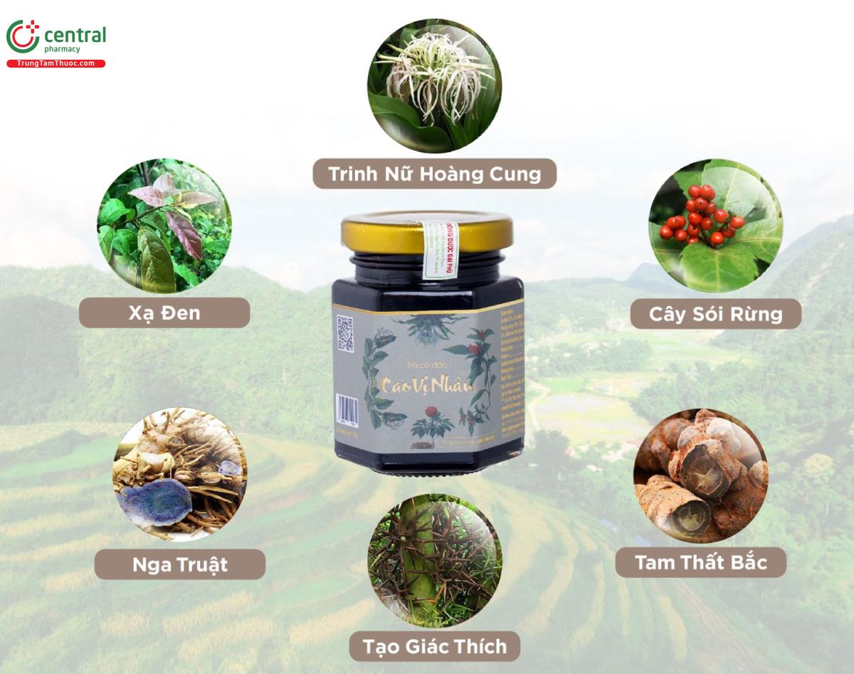 Thành phần thảo dược thiên nhiên trong Cao Vị Nhân
