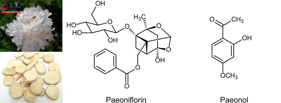 Bạch thược chứa Paeoniflorin và Paeonol có tác dụng chống viêm, giảm đau