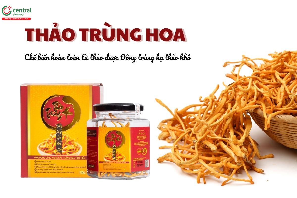 Thảo Trùng Hoa bồi bổ cơ thể, tăng cường sức đề kháng, ngừa bệnh tật