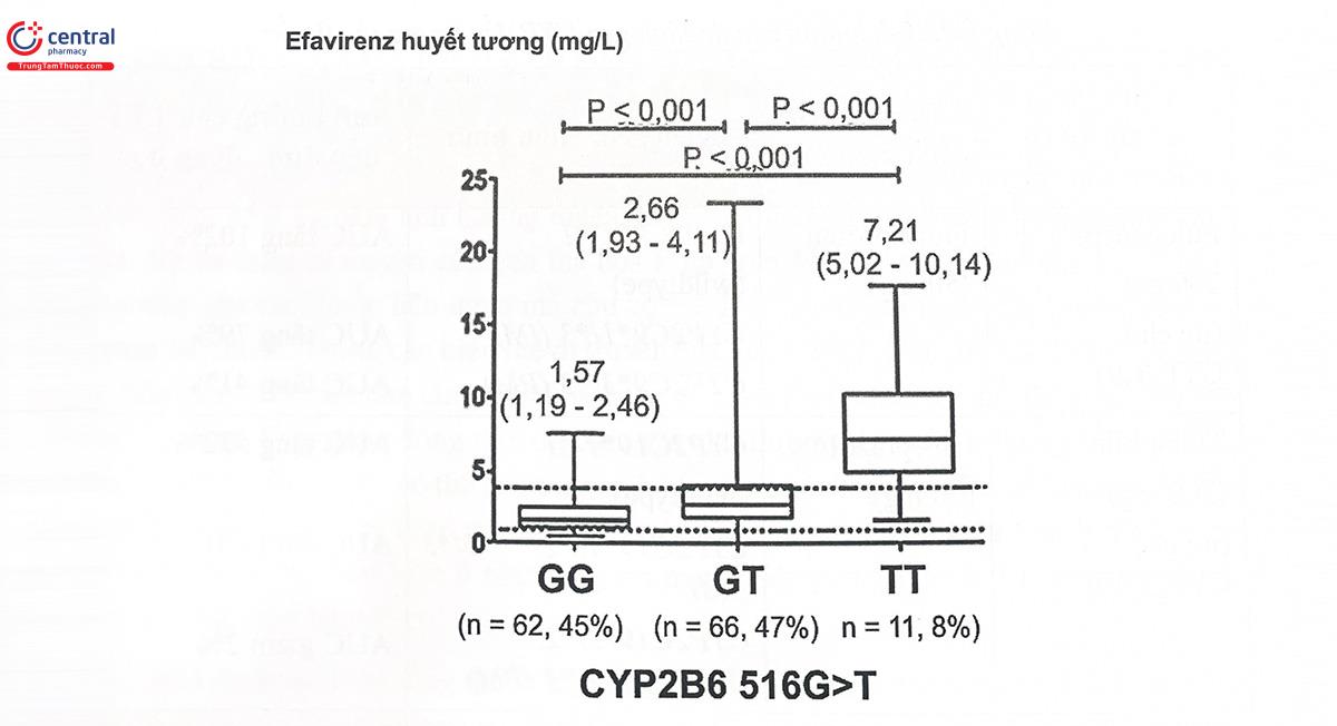 Hình 8.1. Sự thay đổi nồng độ efavirenz khi dùng đồng thời với rifampicin giữa những người mang kiểu gen CYP2B6 khác nhau