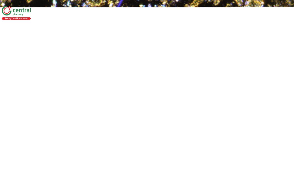 Figure 6. Chrysotile (magenta) compared to talc particles (yellow) in 1.550 RI liquid (magenta particle is oriented parallel to the lower polarizer). Spiked material was retained on a 400-mesh sieve.