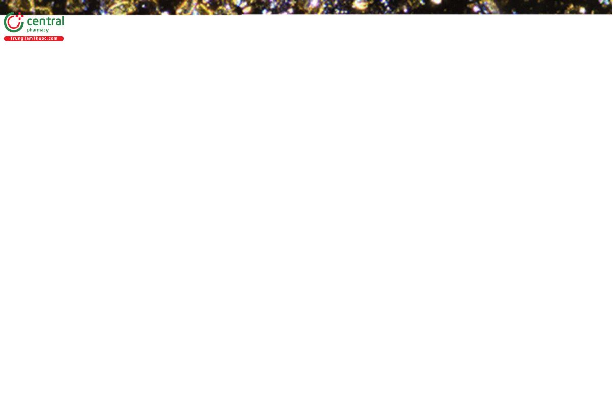 Figure 7. Chrysotile (blue) compared to talc particles (yellow) in 1.550 RI liquid (blue particle is oriented perpendicular to the lower polarizer). Spiked material was retained on a 400-mesh sieve.