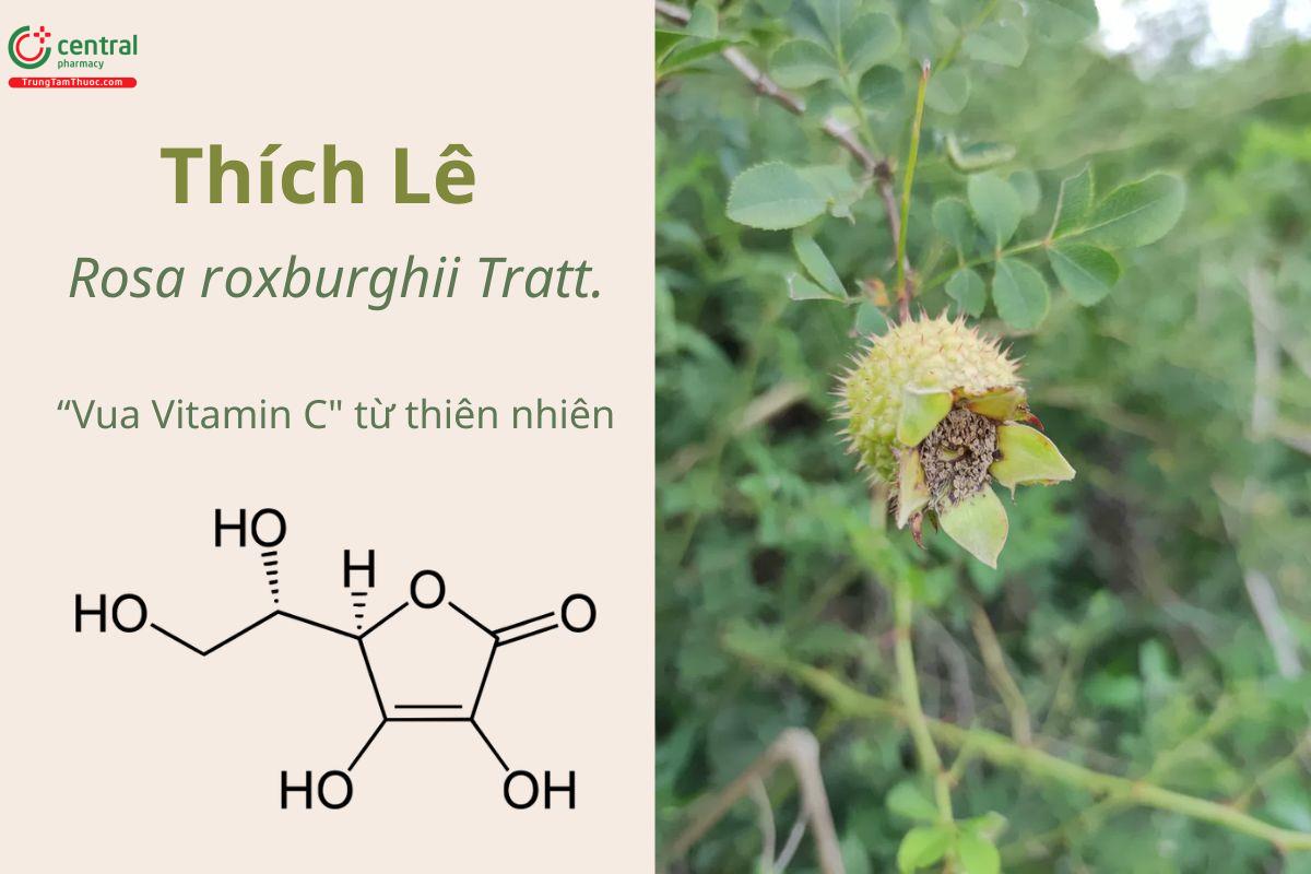 Thích Lê chứa thành phần nổi bật là Vitamin C