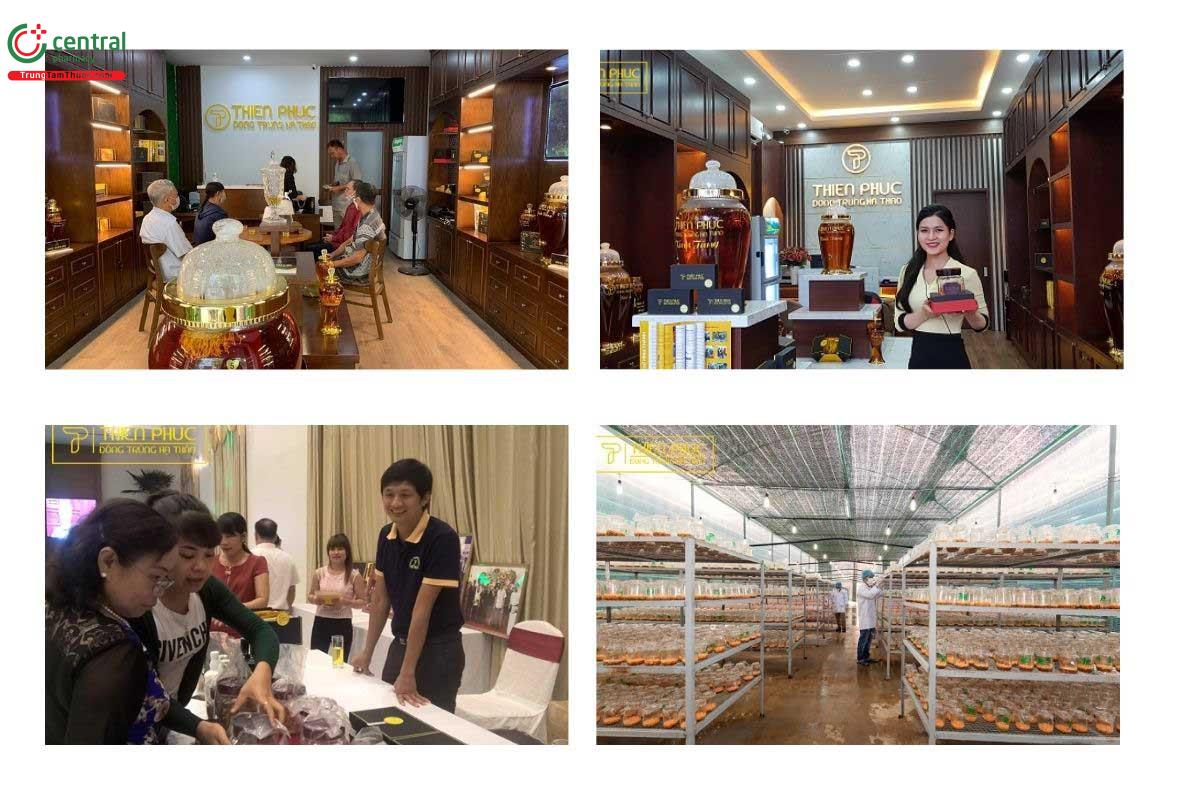 Điểm nổi bật của Công ty Cổ phần Dược thảo Thiên Phúc