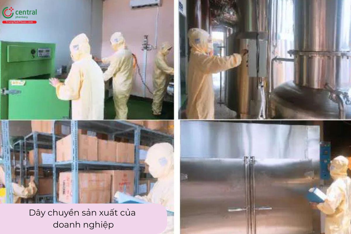 Hoạt động sản xuất của Công Ty Cổ Phần Dược Thiên Y Đức