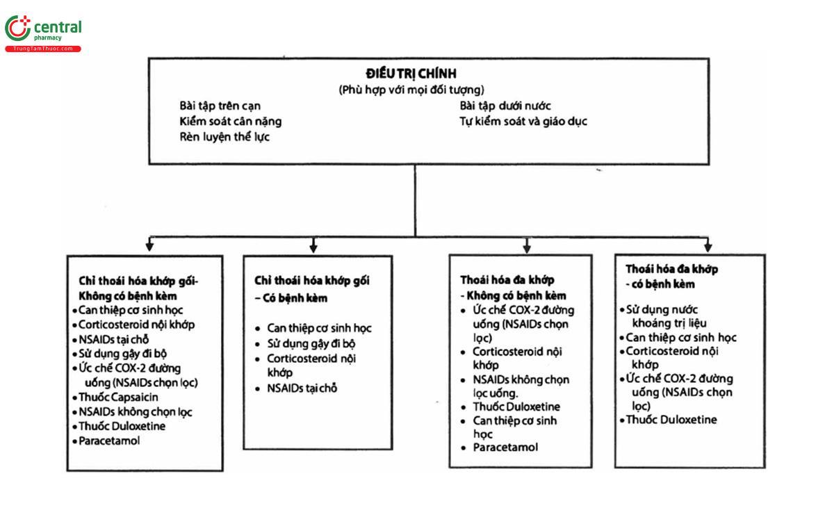 Hình 2: Guidelines của OARSI về điều trị không phẫu thuật thoái hóa khớp gối