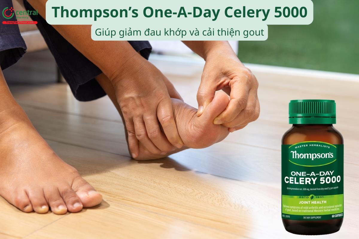 Thompson’s One-A-Day Celery 5000 giúp giảm đau khớp và cải thiện gout