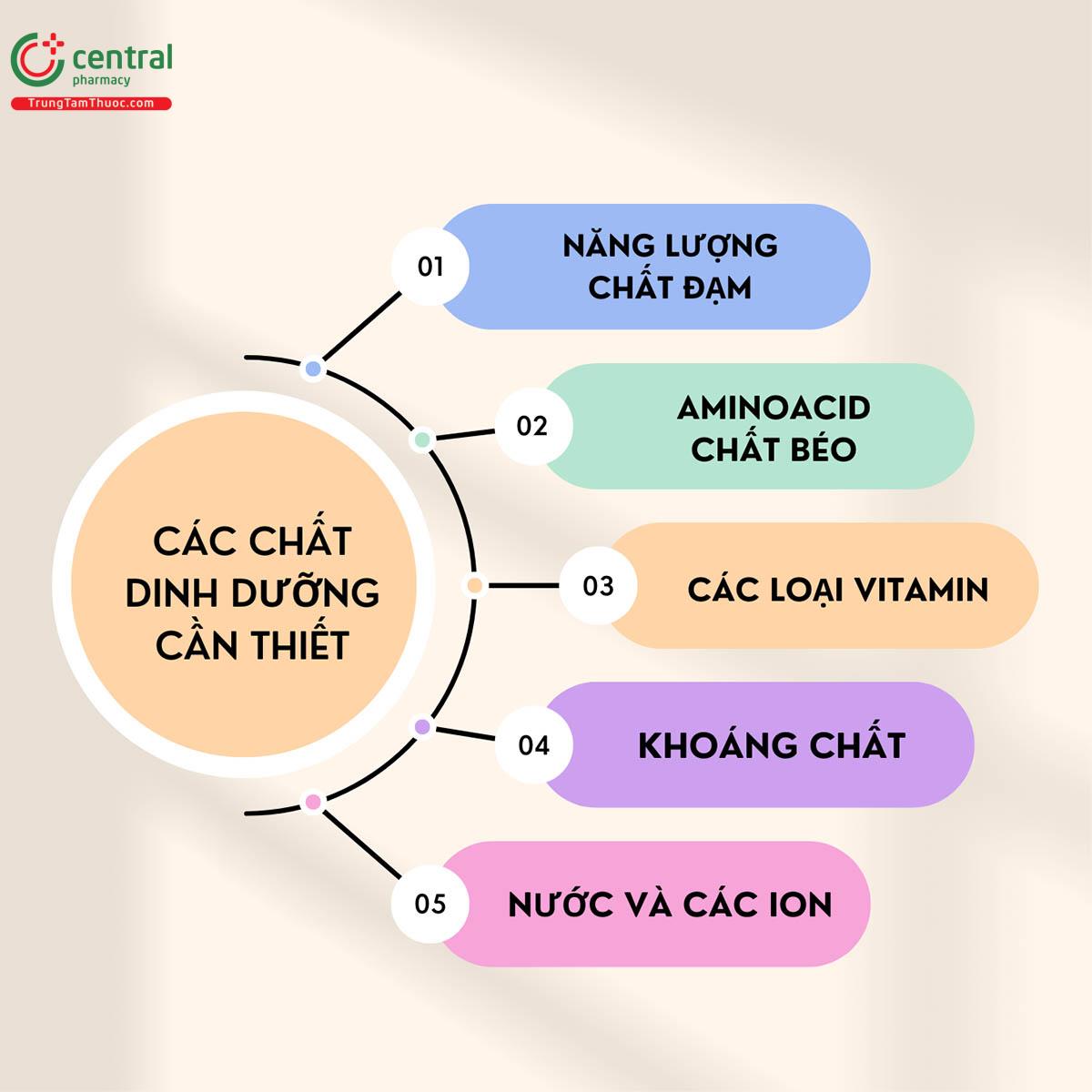 Các chất dinh dưỡng thiết yếu cho mẹ sau sinh