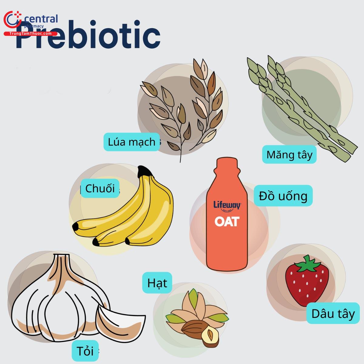 Thực phẩm chứa Prebiotic