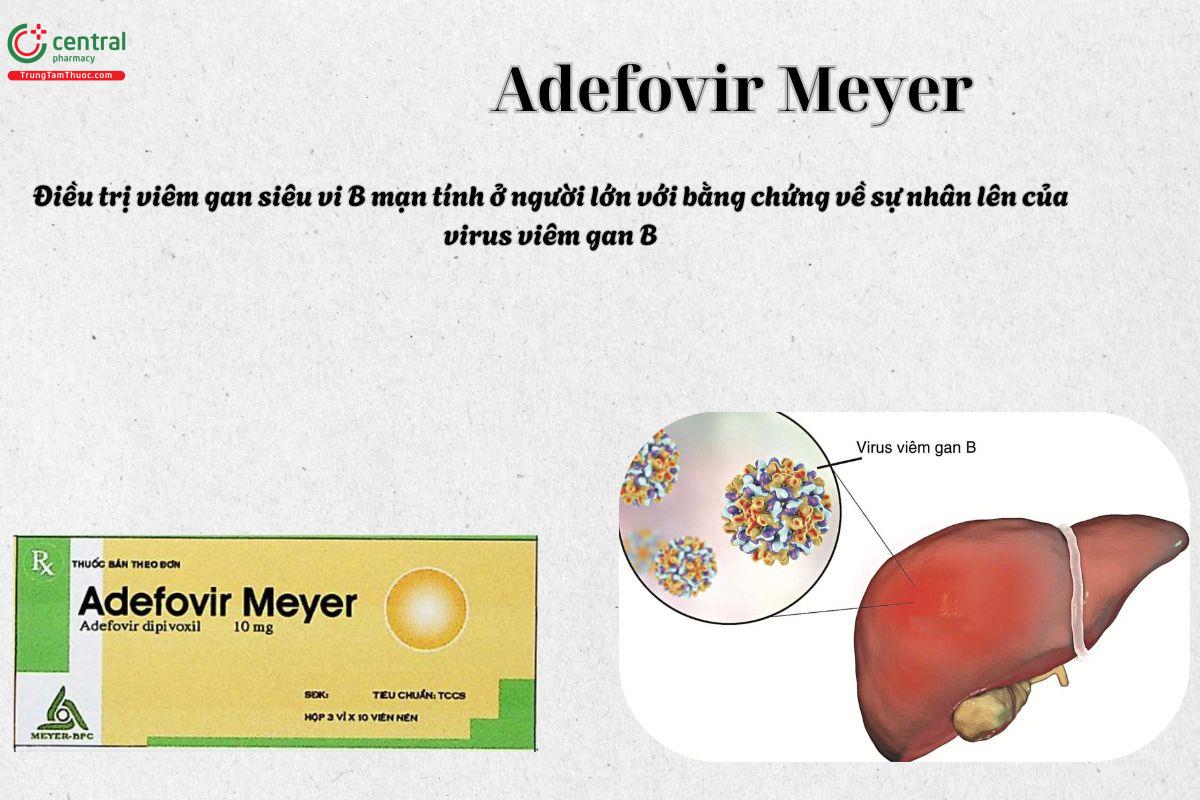 Thuốc Adefovir Meyer điều trị viêm gan siêu vi B
