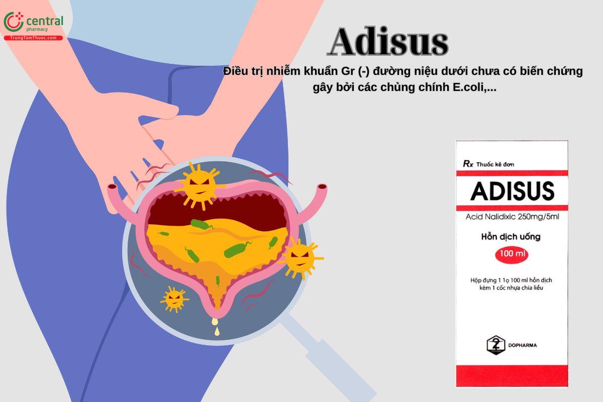 Thuốc Adisus điều trị nhiễm khuẩn đường tiết niệu