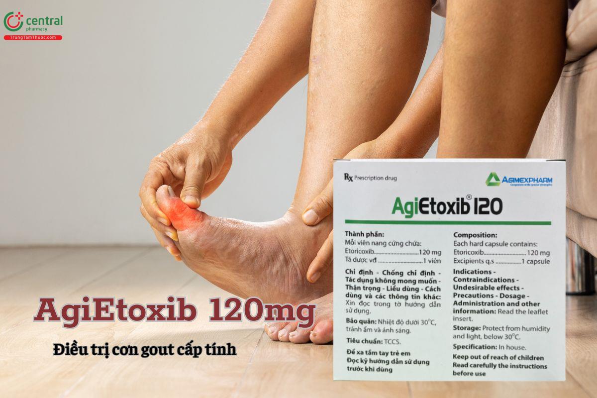 Thuốc AgiEtoxib 120mg điều trị bệnh gì?