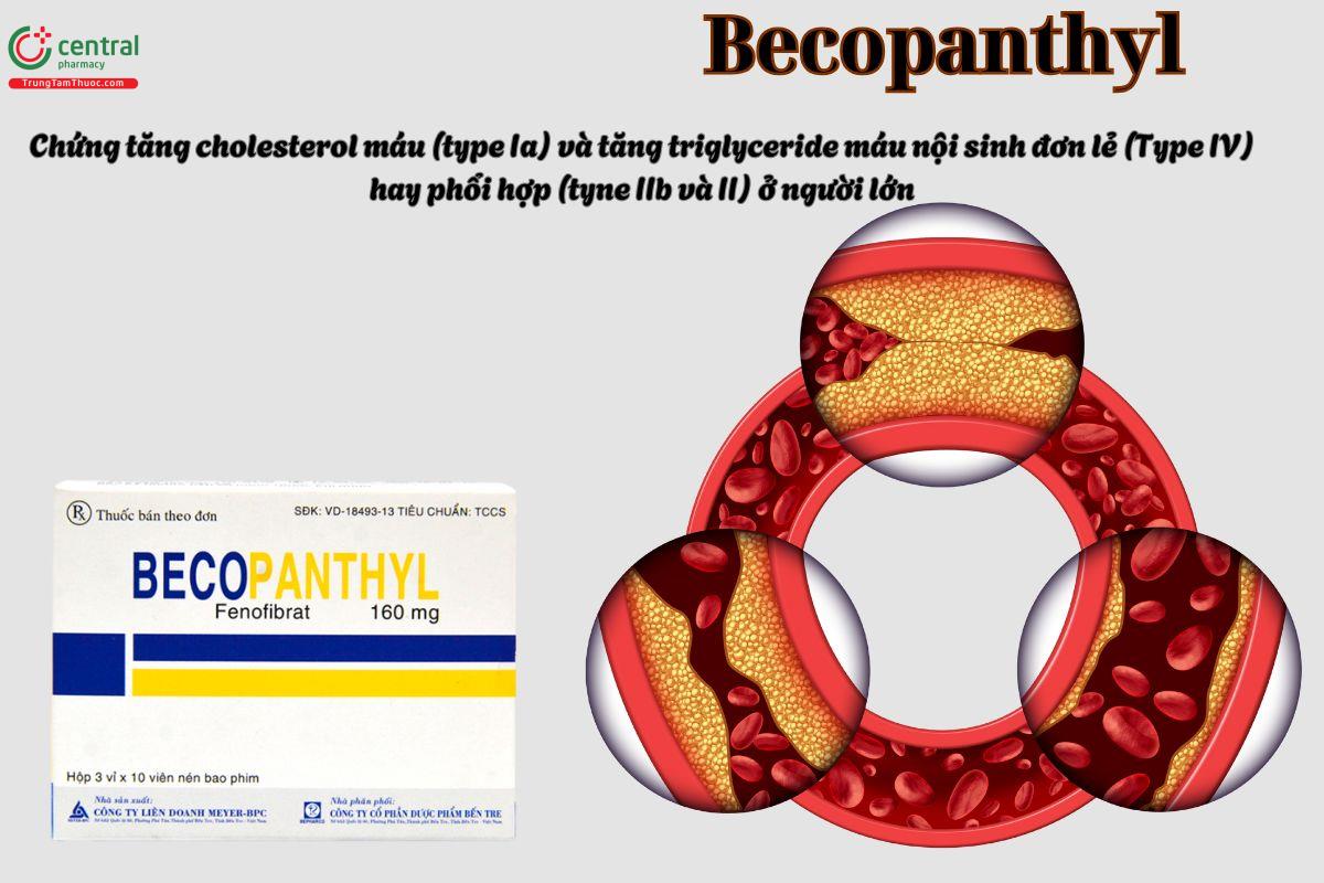 Thuốc Becopanthyl điều trị tăng Cholesterol máu
