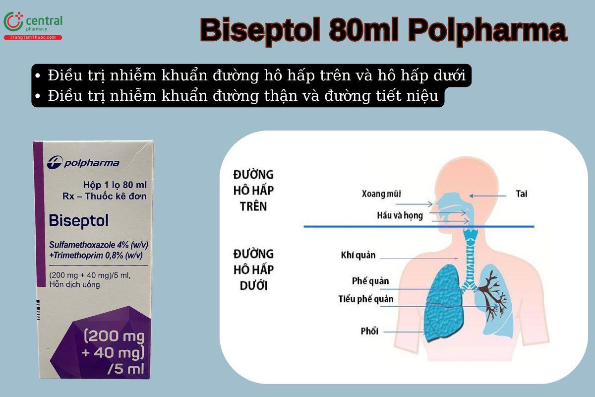 Thuốc Biseptol 80ml Polpharma điều trị nhiễm khuẩn hô hấp trên, hô hấp dưới