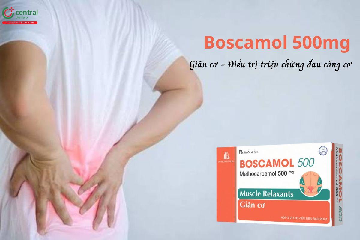Thuốc Boscamol 500mg - Điều trị triệu chứng căng cơ ở trường trưởng thành