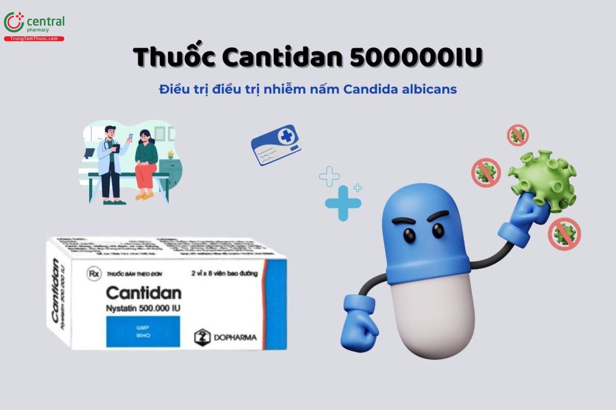 Thuốc Cantidan 500.000IU điều trị nhiễm nấm gây ra bởi Candida albicans