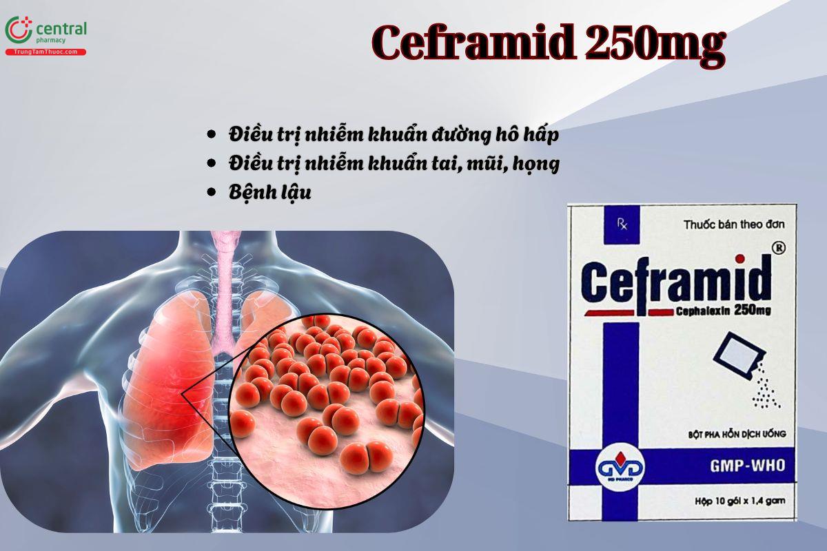 Thuốc Ceframid 250mg điều trị nhiễm khuẩn tai mũi, họng