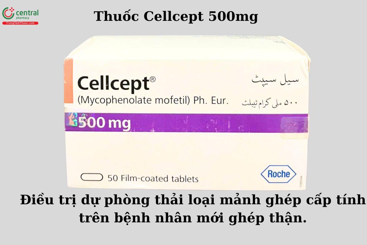 Công dụng của thuốc Cellcept 500mg