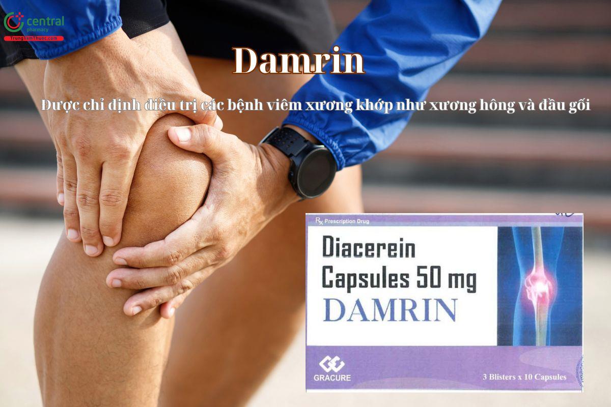 Thuốc Damrin điều trị thoái hoá khớp gối, khớp háng