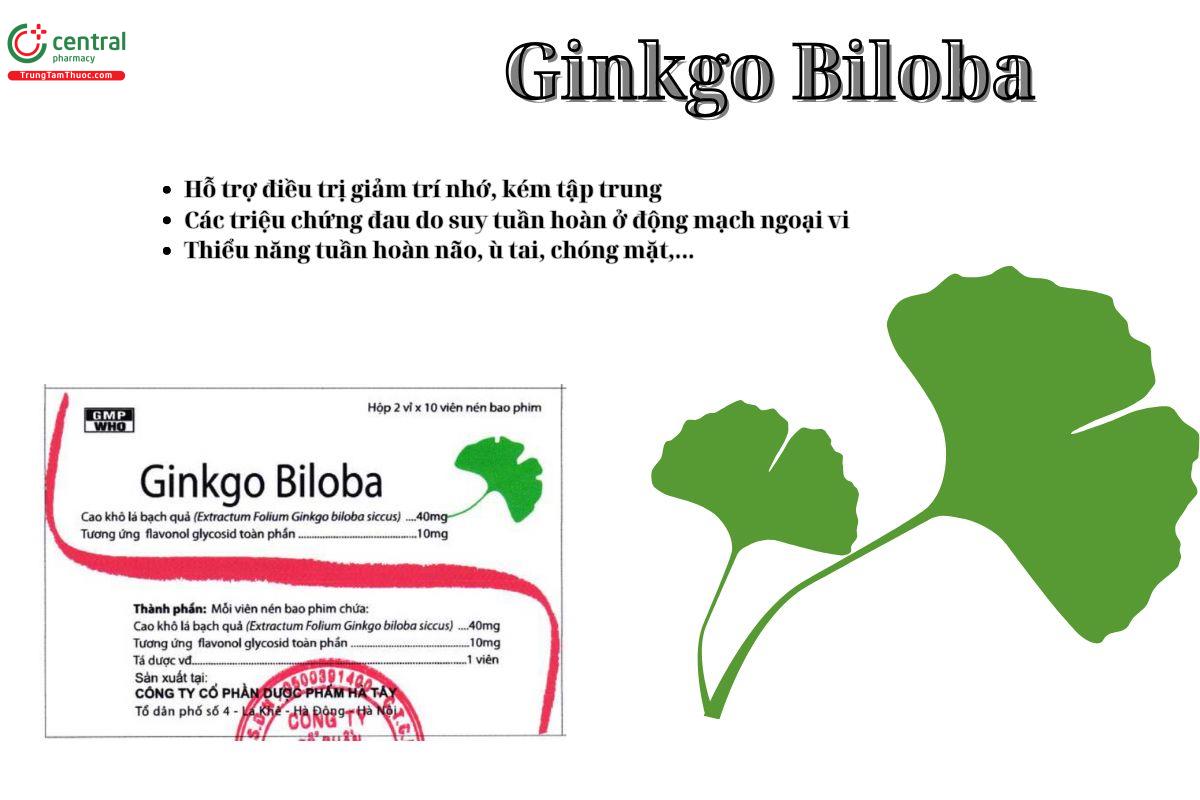Thuốc Ginkgo Biloba 40mg Hataphar điều trị tình trạng chóng mặt, ù tai, thiểu năng tuần hoàn não,..