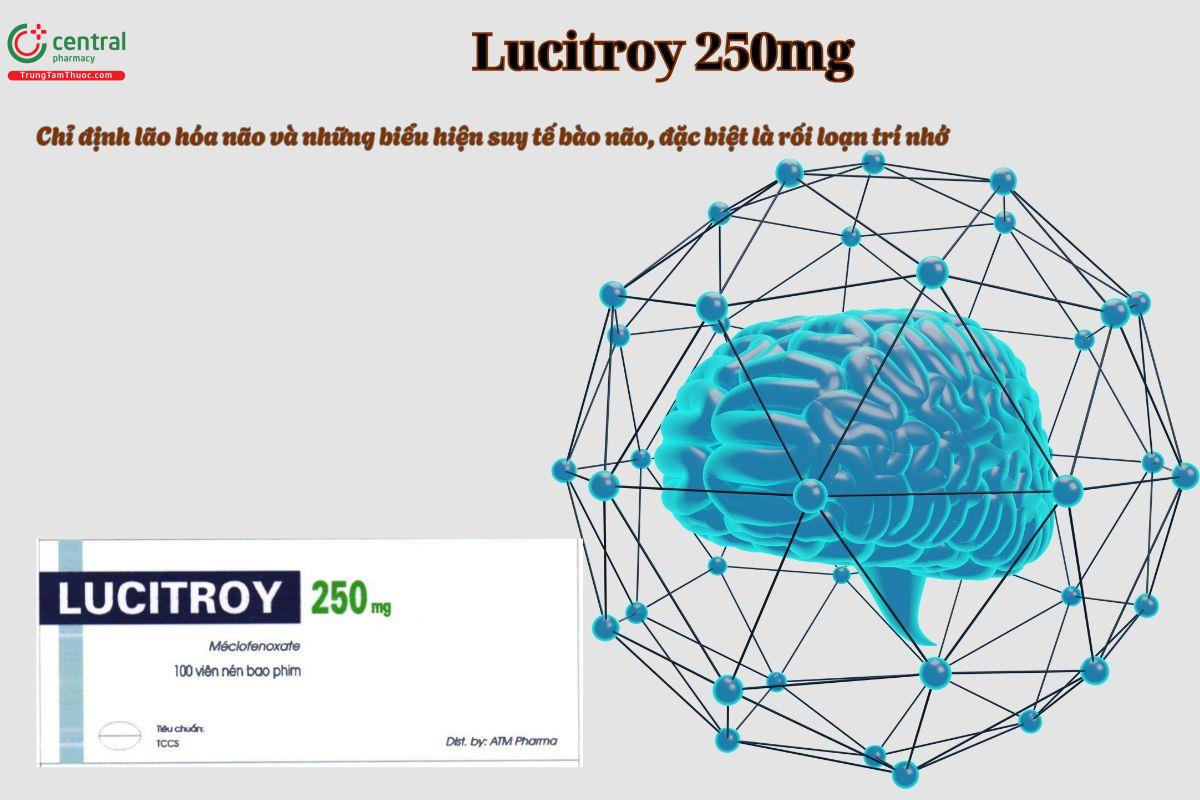 Thuốc Lucitroy 250mg điều trị rối loạn trí nhớ
