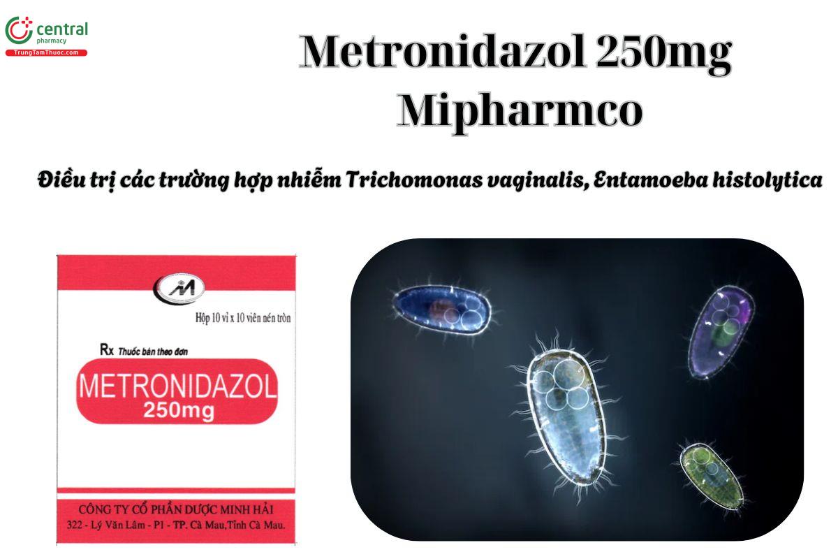 Thuốc Metronidazol 250mg Mipharmco điều trị nhiễm Trichomonas vaginalis, Entamoeba histolytica