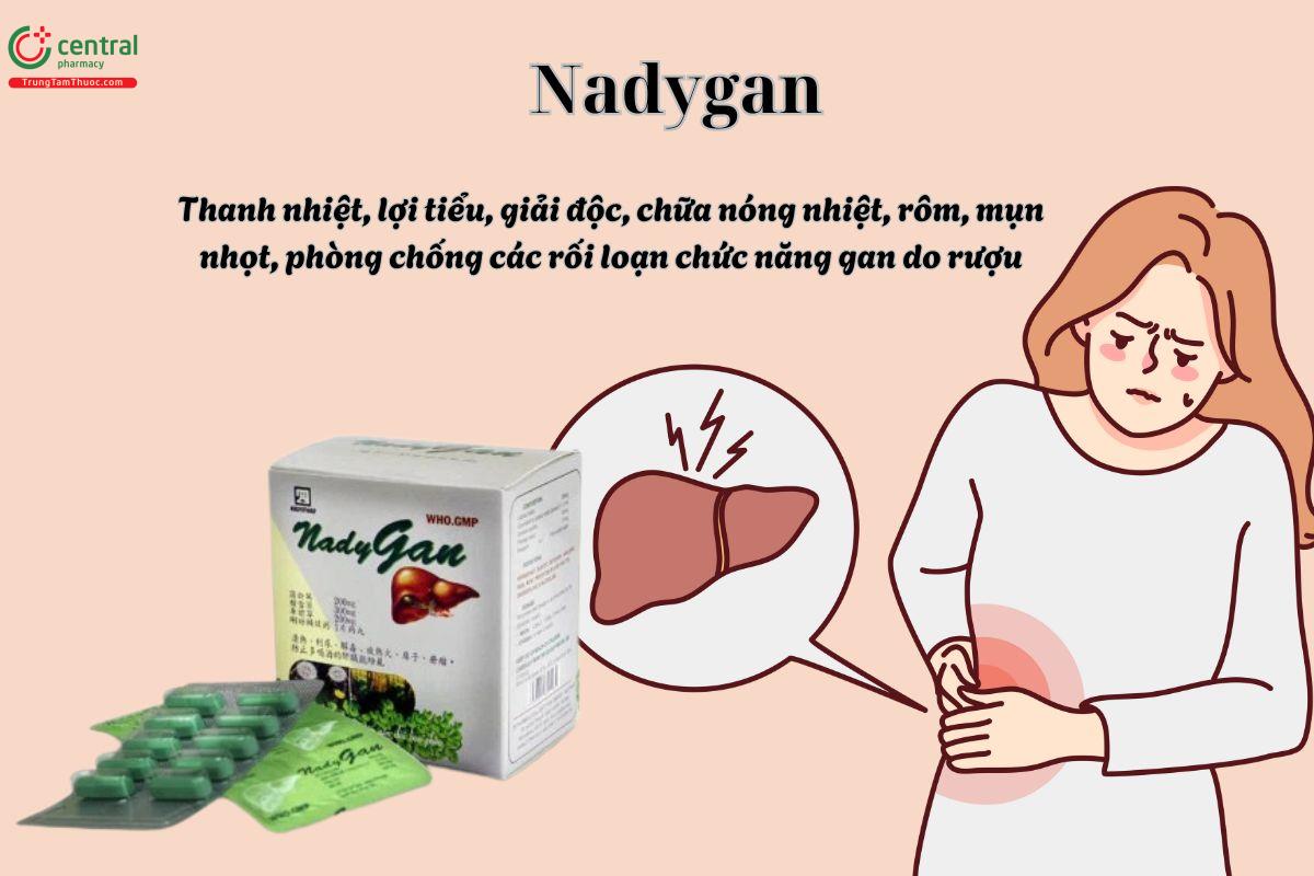 Thuốc Nadygan bảo vệ gan, lợi tiểu, giảm mụn nhọt