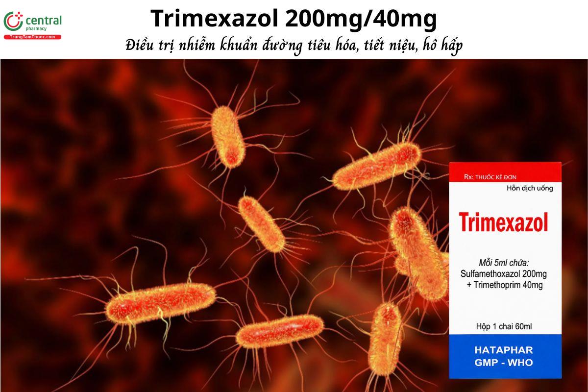 Thuốc Trimexazol 200mg/40mg - Điều trị nhiễm khuẩn tiêu hóa, tiết niệu