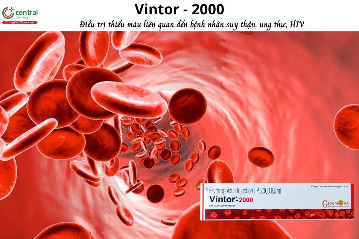 Thuốc Vintor - 2000 điều trị thiếu máu do suy thận, ung thư, nhiễm HIV