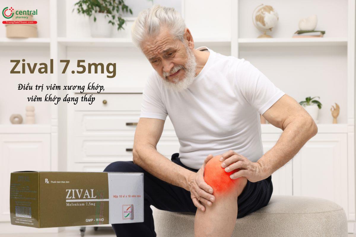 Thuốc Zival 7,5 mg - Giảm triệu chứng của viêm khớp thoái hóa, viêm khớp dạng thấp