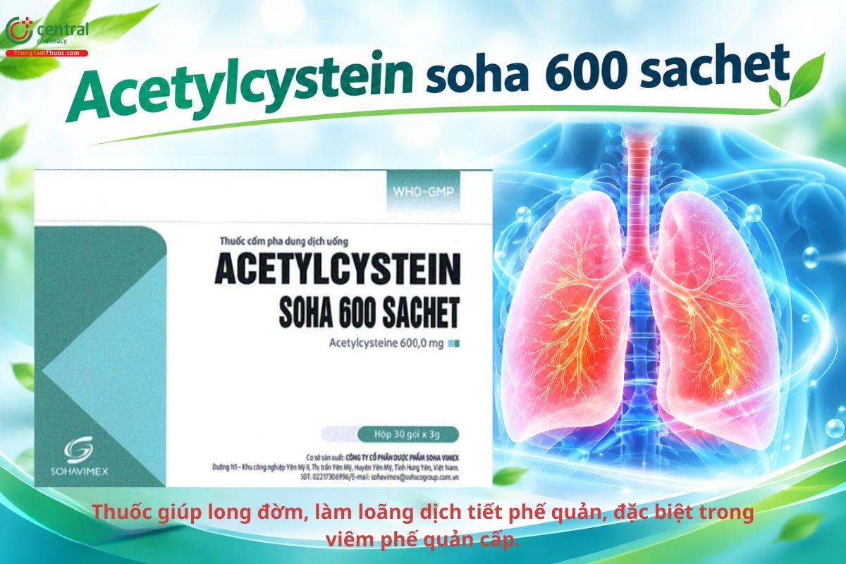 Thuốc Acetylcystein Soha 600 Sachet làm loãng đờm, hỗ trợ điều trị viêm phế quản