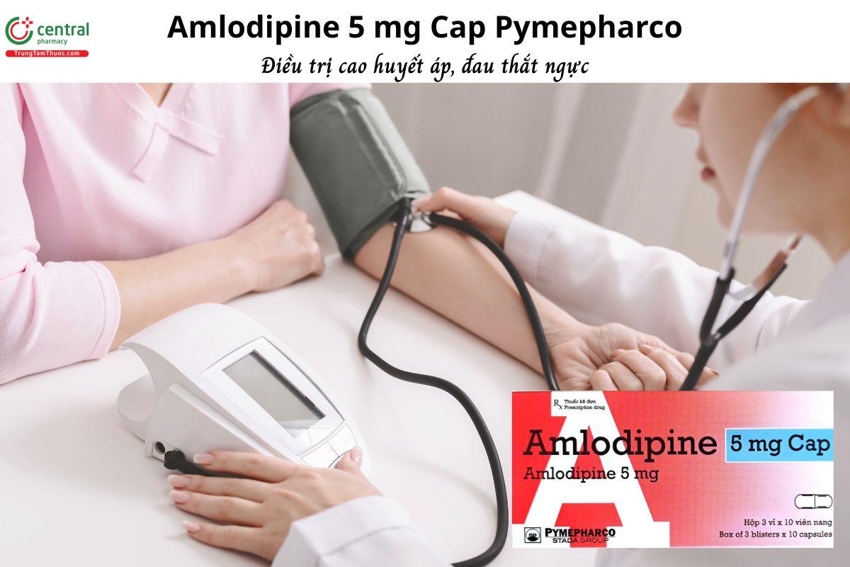 Thuốc Amlodipine 5 mg Cap Pymepharco - Trị tăng huyết áp, dự phòng đau thắt ngực