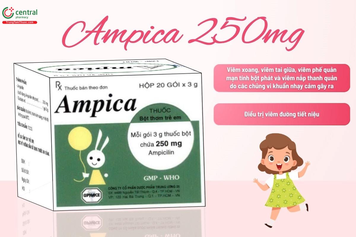 Chỉ định của thuốc Ampica 250mg