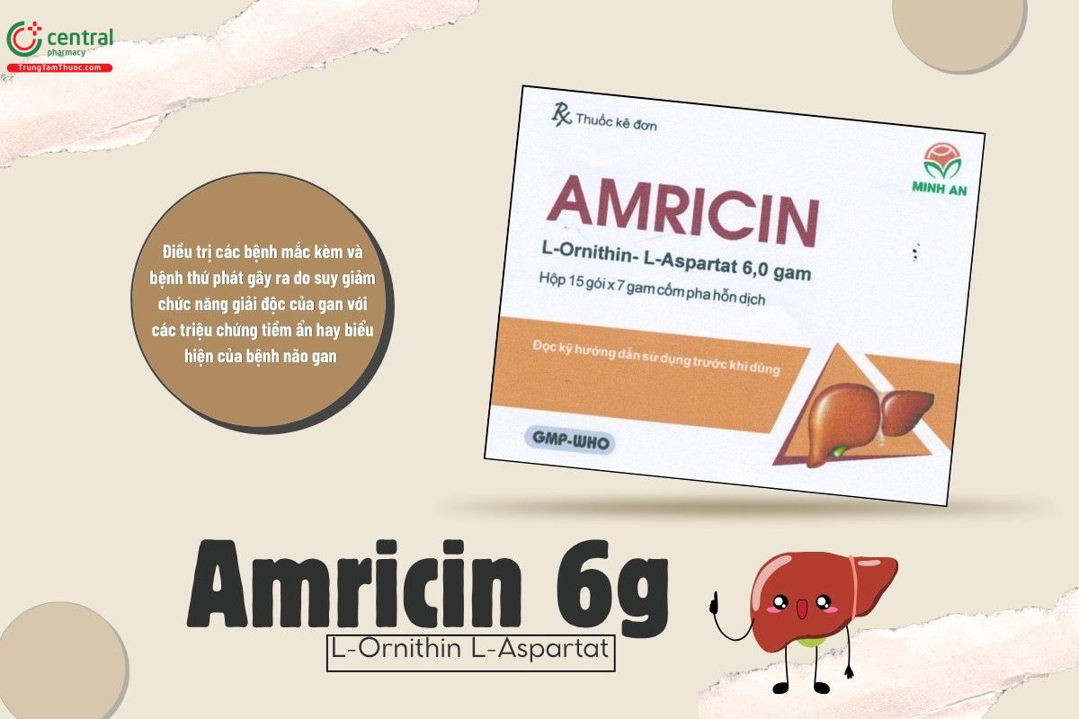 Chỉ định của thuốc Amricin 6g