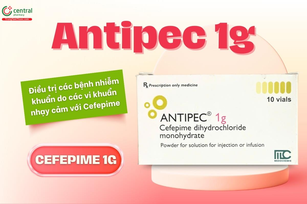 Chỉ định của thuốc Antipec 1g