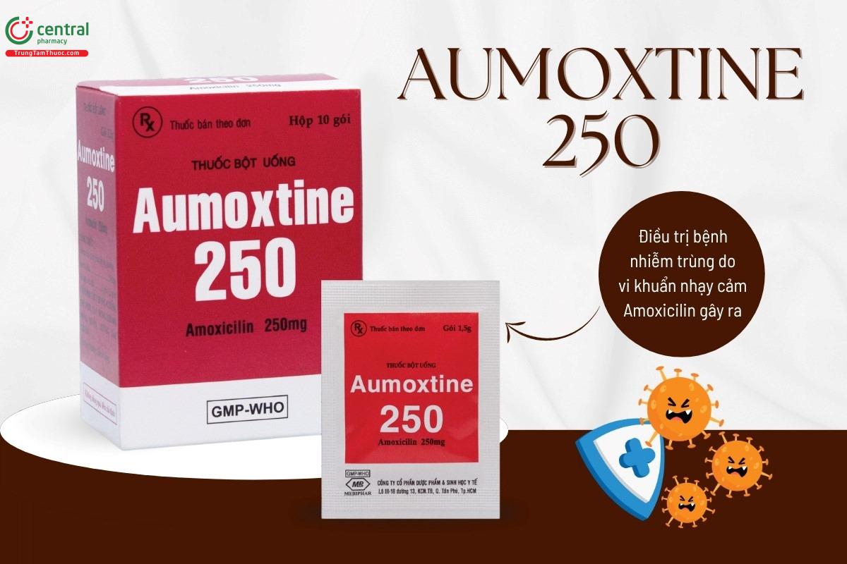 Chỉ định của thuốc Aumoxtine 250