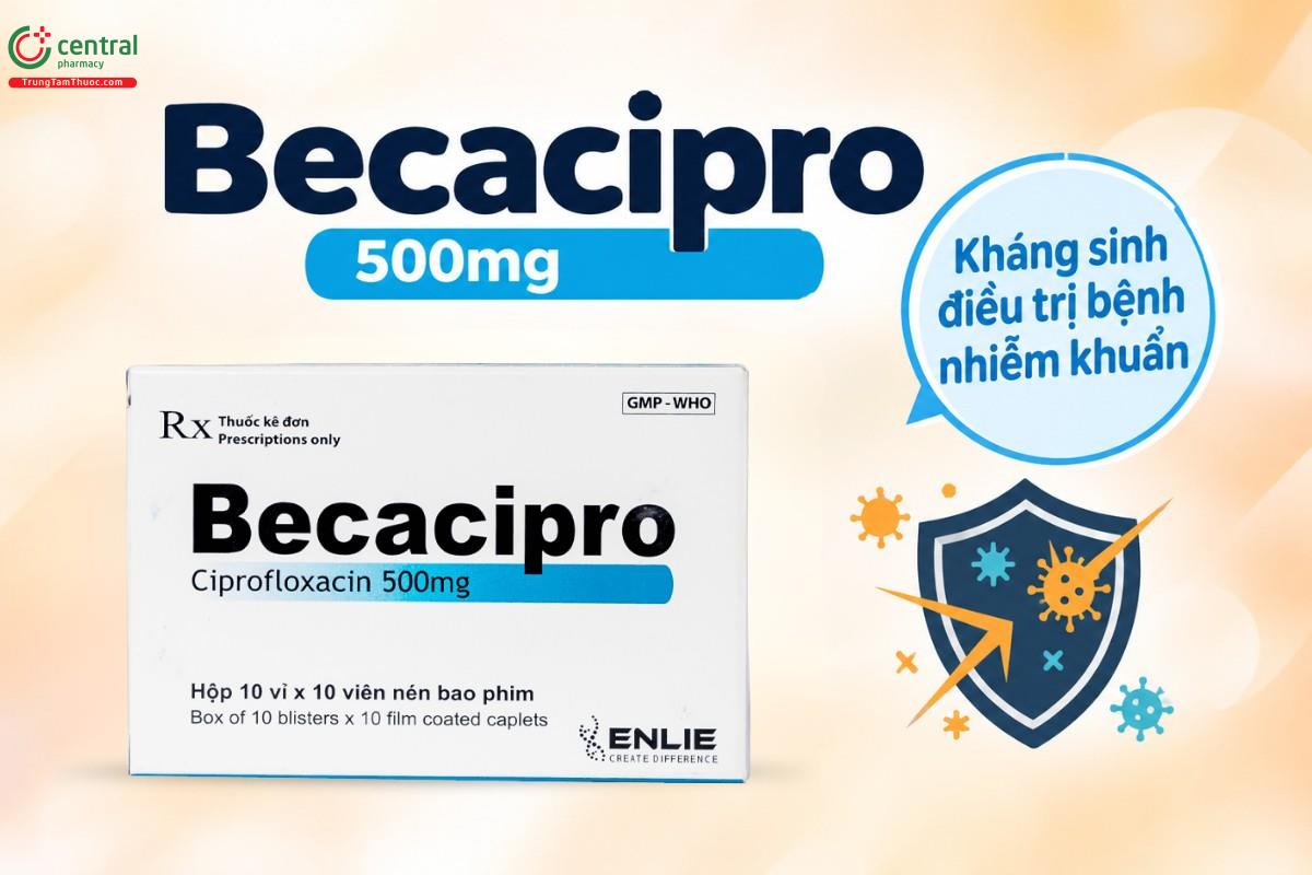 Tác dụng của thuốc Becacipro 500mg