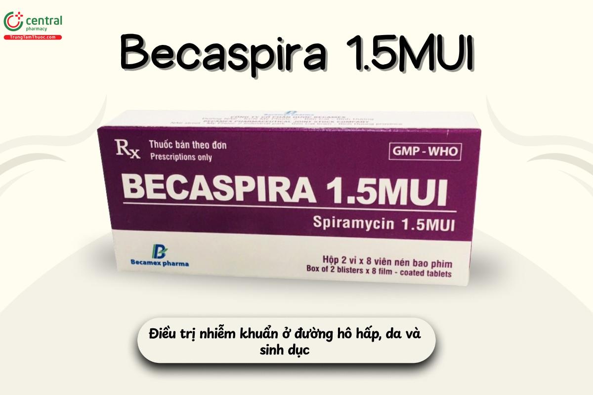 Chỉ định của thuốc Becaspira 1.5MUI