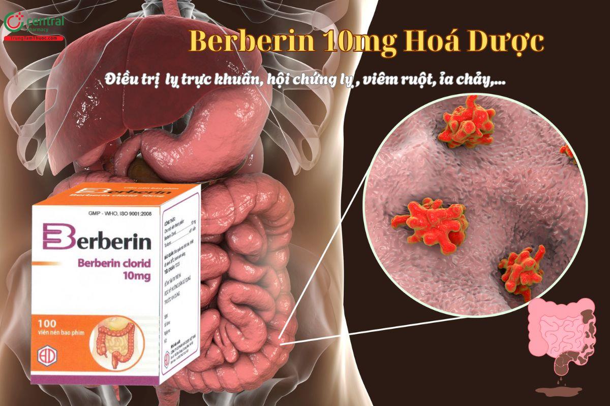 Berberin 10mg Hóa Dược điều trị nhiễm khuẩn đường tiêu hoá