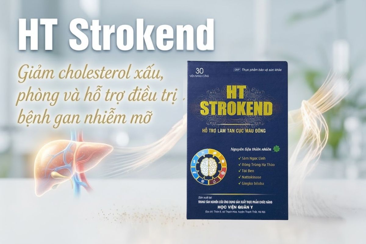 Thuốc bổ tim mạch tốt nhất: HT Strokend
