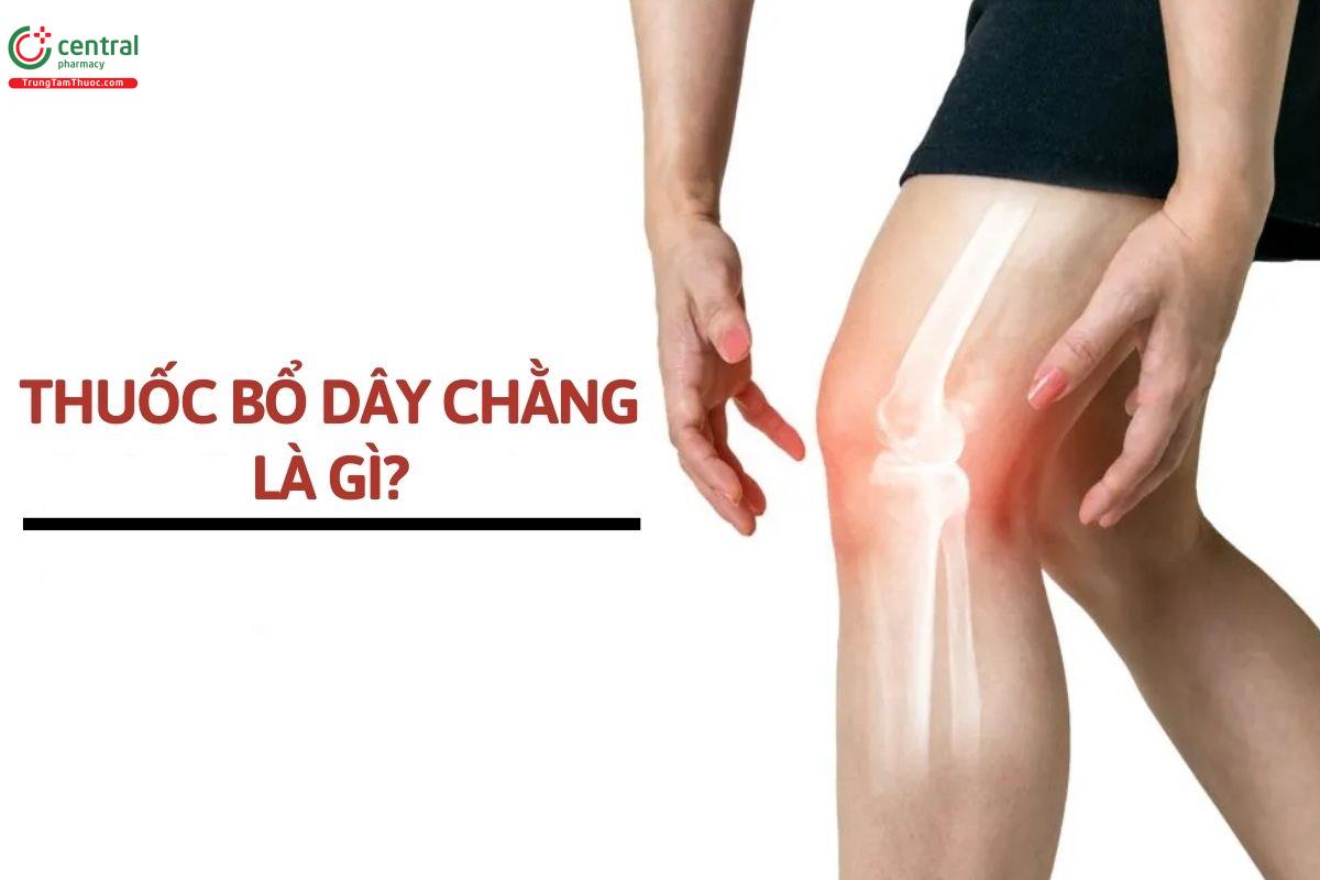 Thuốc bổ dây chằng là gì?