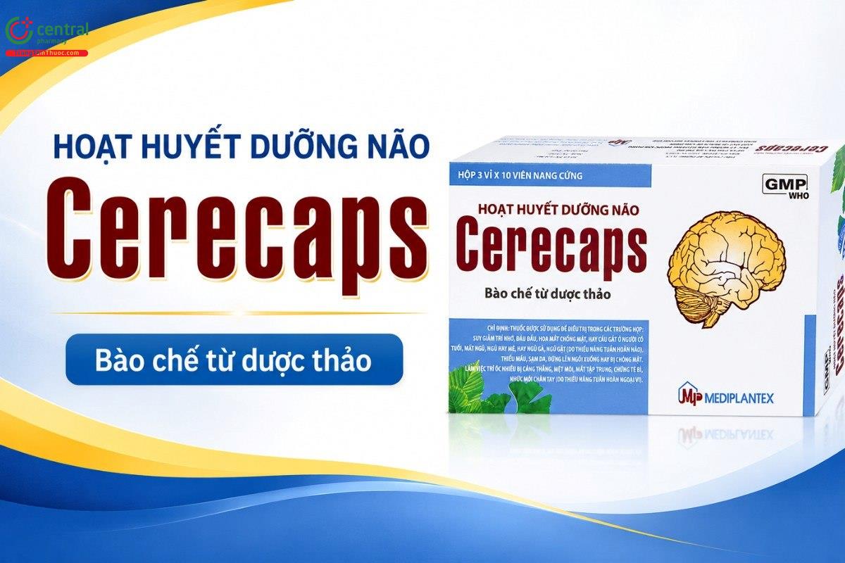 Cerecaps - Bào chế từ thảo dược