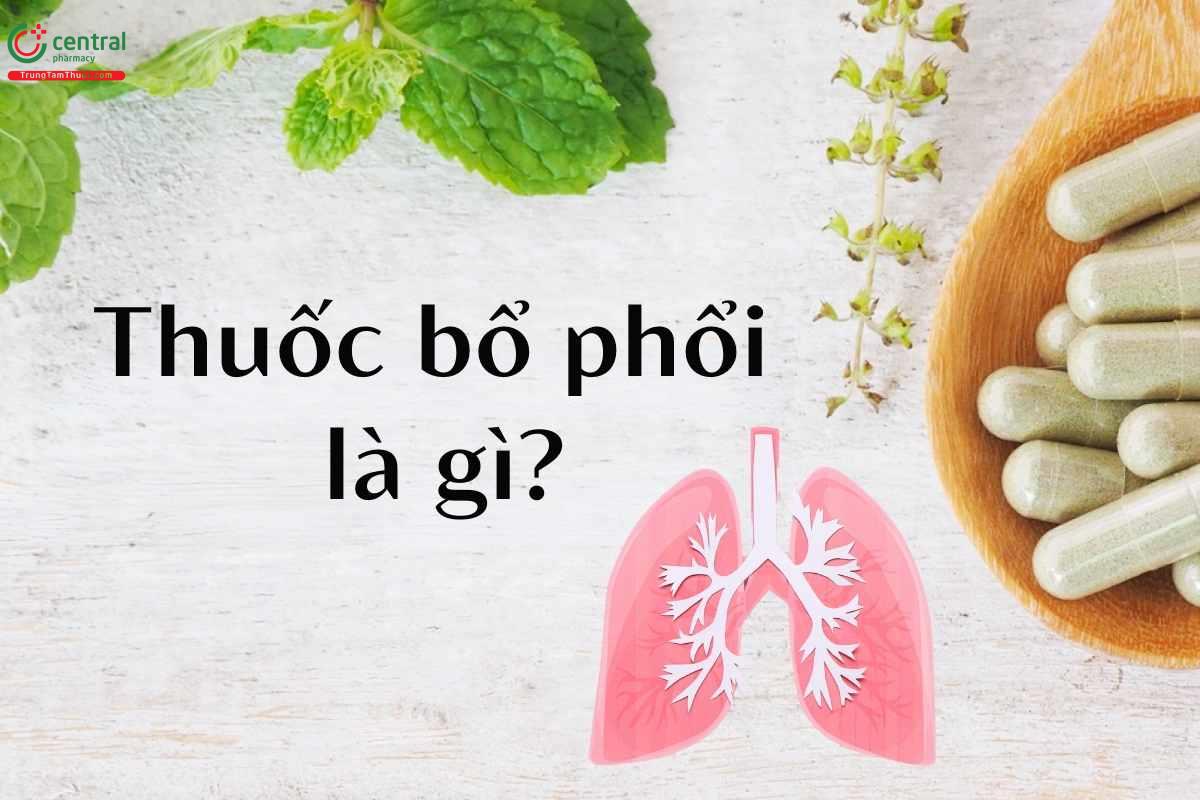 Thuốc bổ phổi là gì?