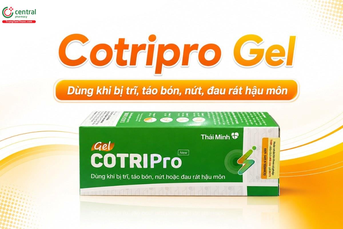 Gel bôi trĩ Cotripro của Dược phẩm Thái Minh