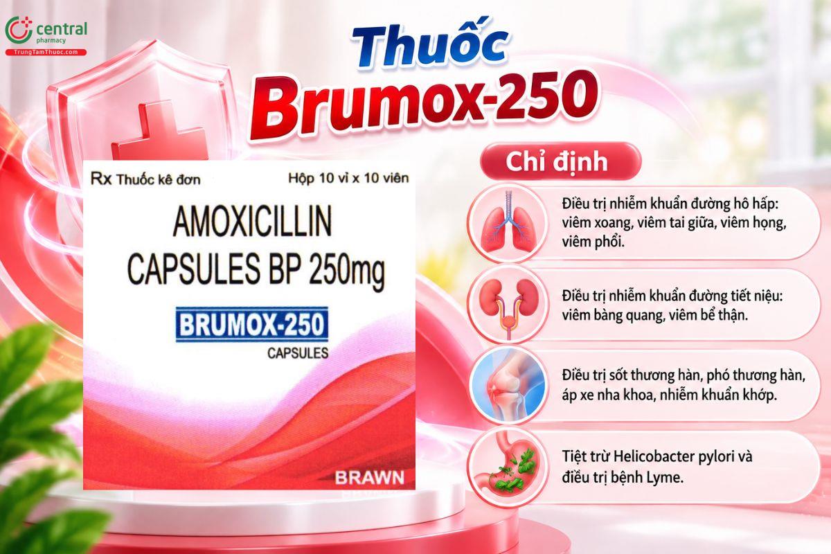 Thuốc Brumox-250 điều trị nhiễm khuẩn do vi khuẩn nhạy cảm ở người lớn và trẻ em