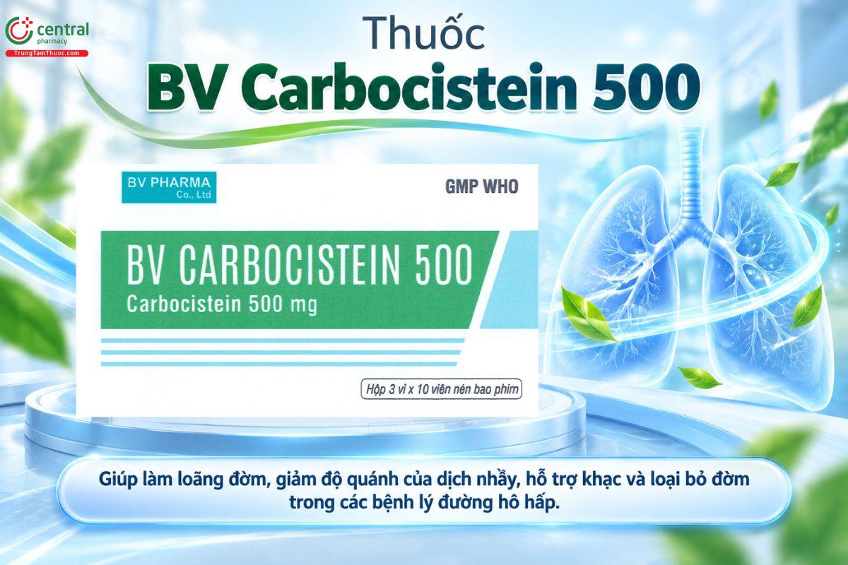 Thuốc BV Carbocistein 500mg làm loãng đờm trong bệnh đường hô hấp