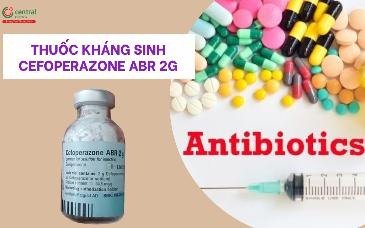  Thuốc Cefoperazone ABR 2g